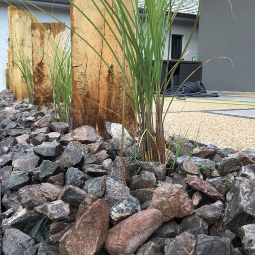 plantation ornementale